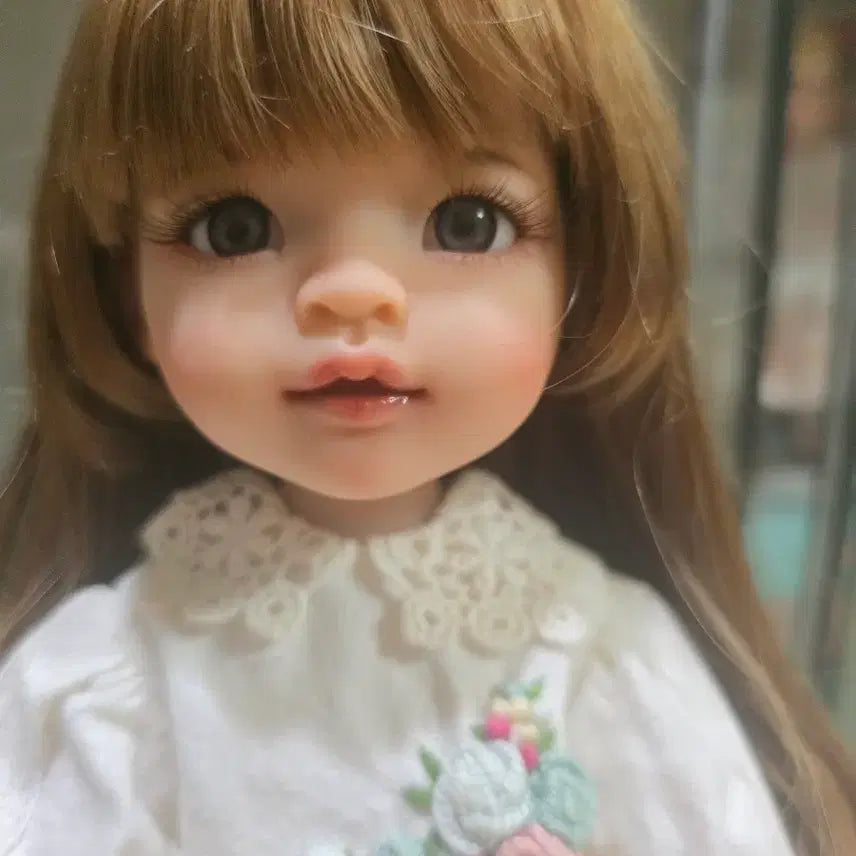 [SOLD OUT] 파올라레이나