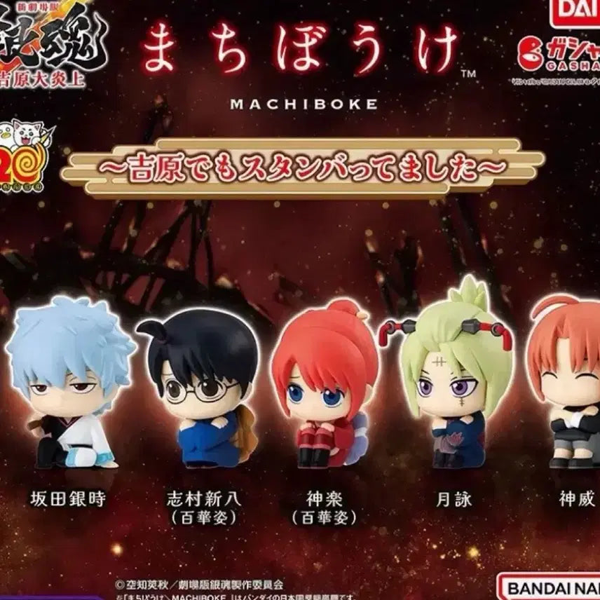 [BUNJANG] Gintama Yoshizawa Machiboke Complete Set / 은혼 요시와라 마치보케 일괄 풀셋