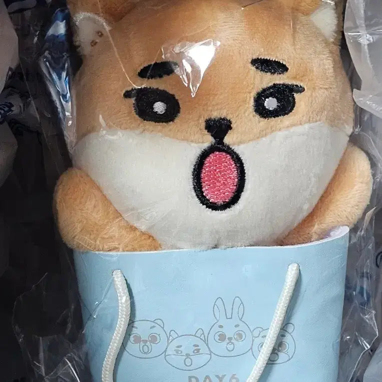 [BUNJANG] DAY6 Japan MD Baek Charm Keychain (Sealed) / (미개봉) 데이식스 일본 MD 백참 케