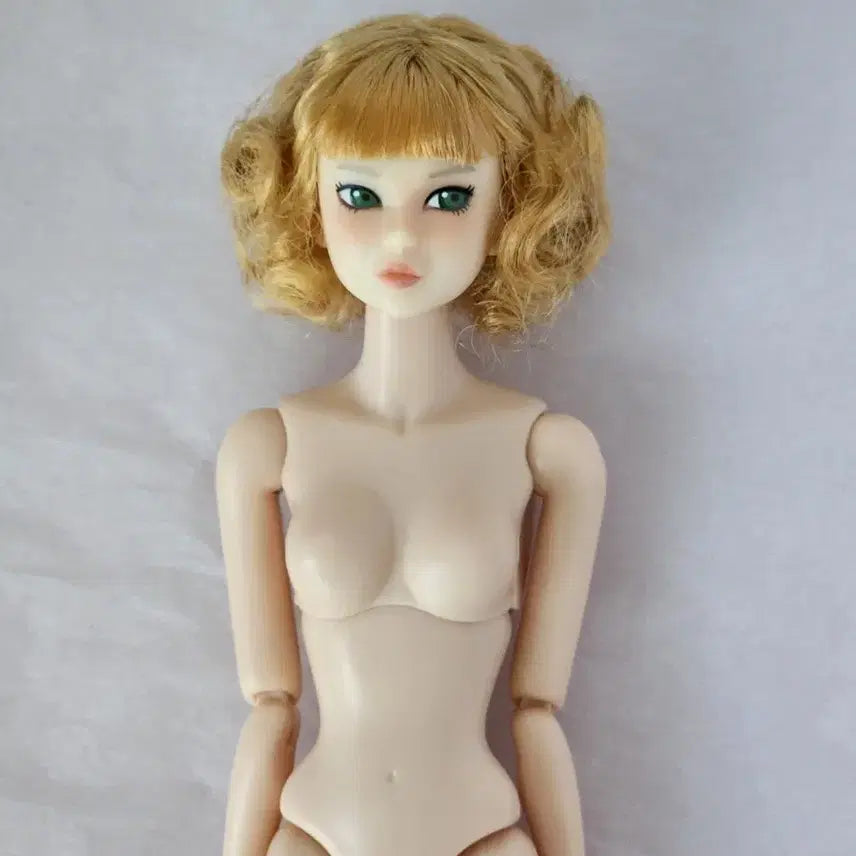 [SOLD OUT] momoko ccs 22ny 모모꼬 누드 인형