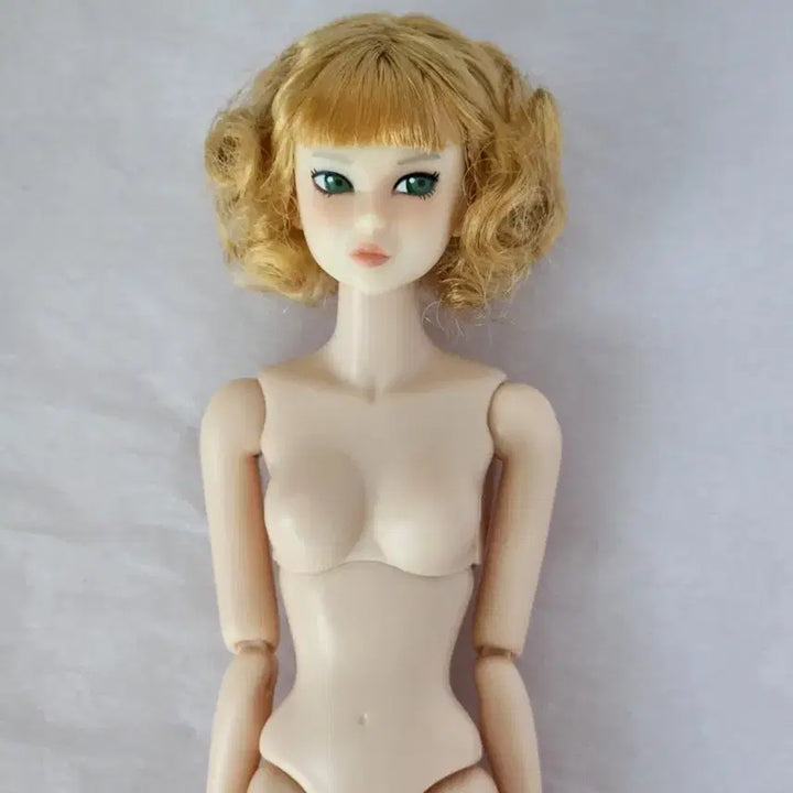 [SOLD OUT] momoko ccs 22ny 모모꼬 누드 인형