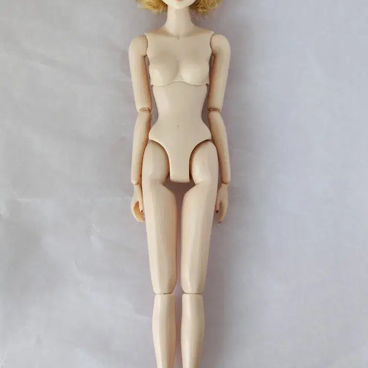 [SOLD OUT] momoko ccs 22ny 모모꼬 누드 인형