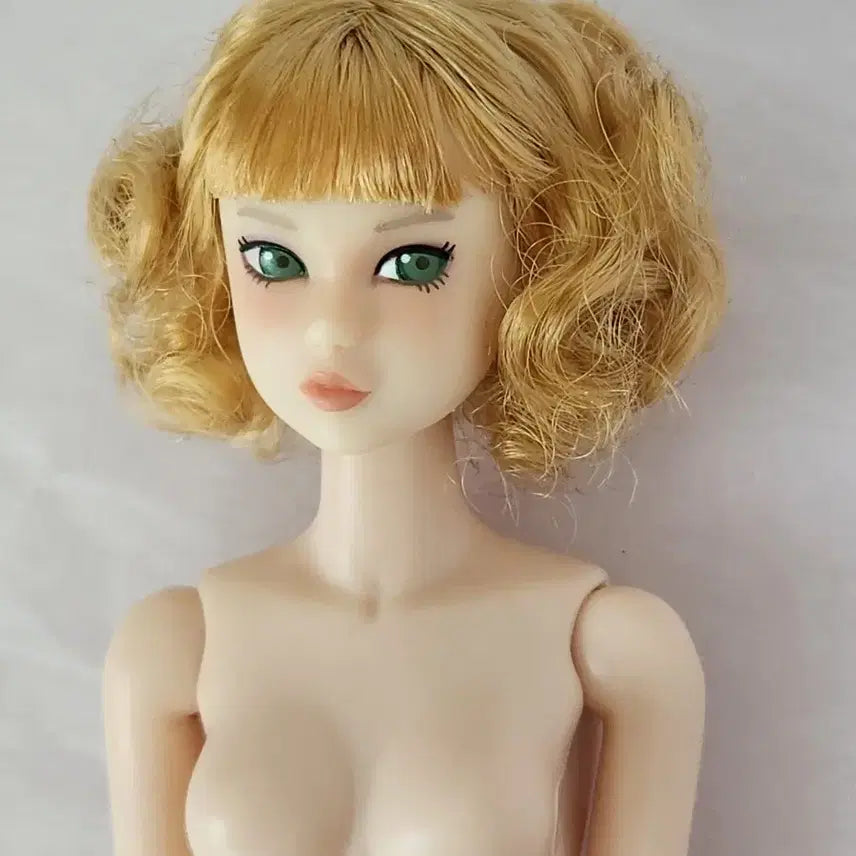 [SOLD OUT] momoko ccs 22ny 모모꼬 누드 인형
