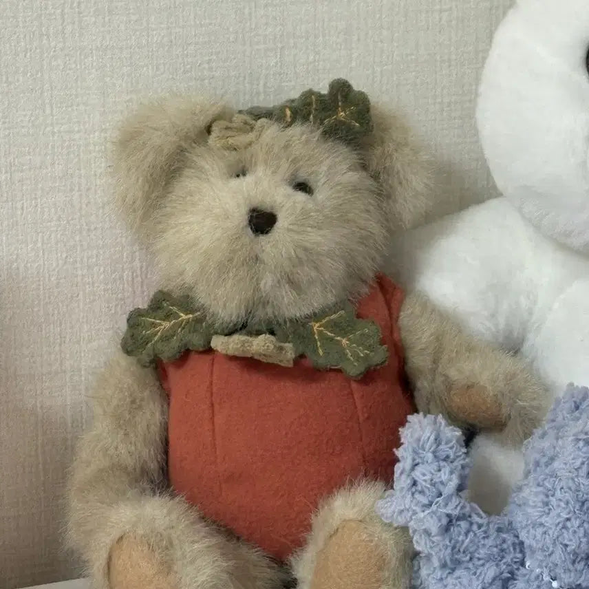 [SOLD OUT] 호박 보이즈베어