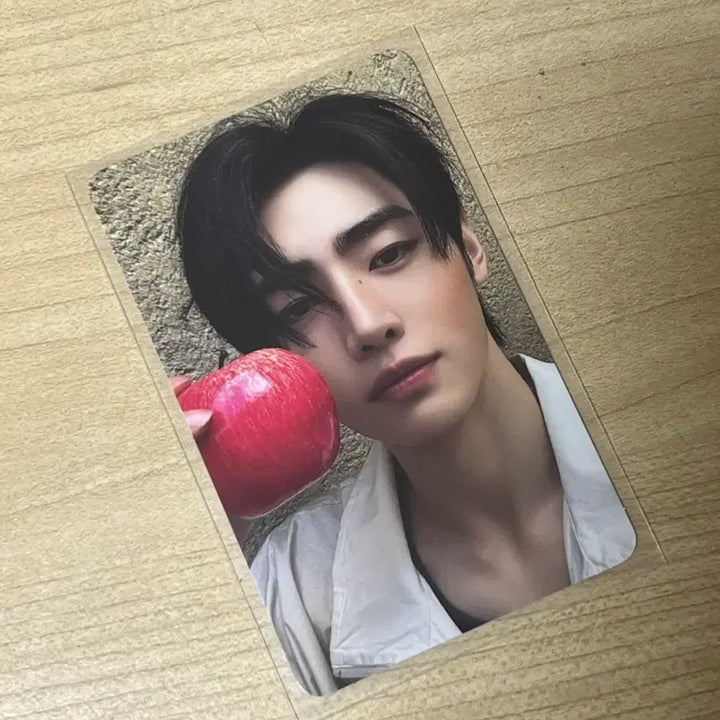 [BUNJANG] ENHYPEN Sunghoon The Sin Vanish Engine Ver. Photocard / 엔하이픈 성훈 포카 the sin vanish 엔진반 포토카드