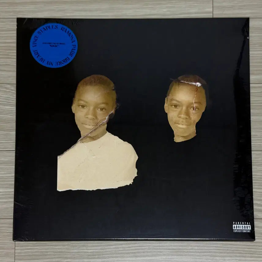 [BUNJANG] Vince Staples Ramona Park Broke My Heart LP / Vince Staples-Ramona Park Broke My Heart