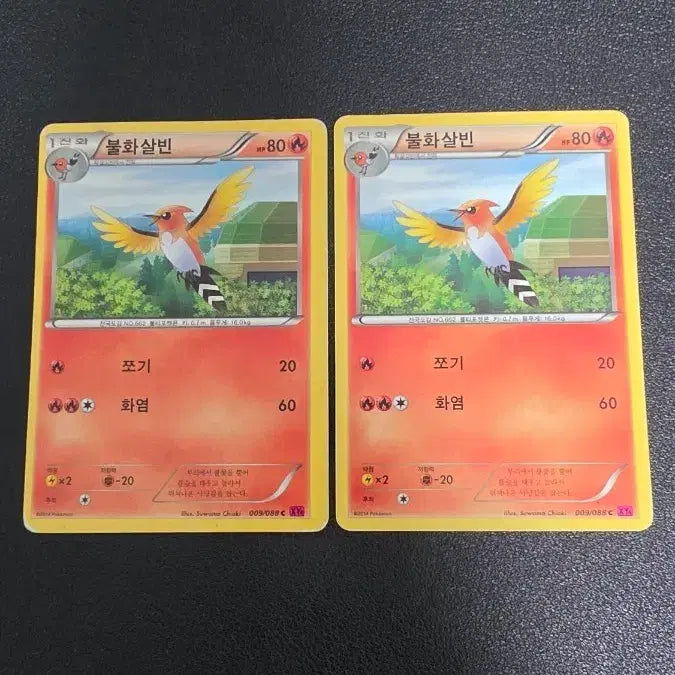 [SOLD OUT] 포켓몬 카드 불화살빈 xy4 009