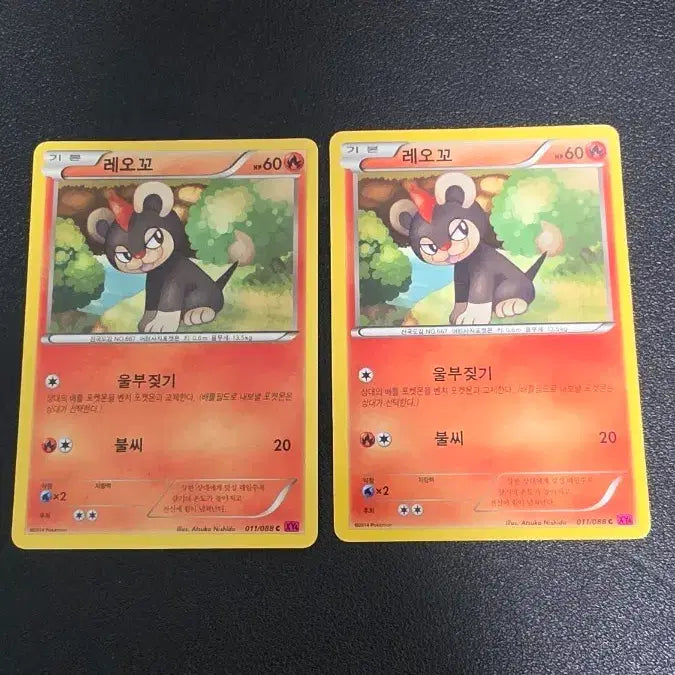 [SOLD OUT] 포켓몬 카드 레오꼬 xy4 011
