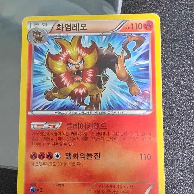 [SOLD OUT] 포켓몬 카드 화염레오 R XY4 012/088