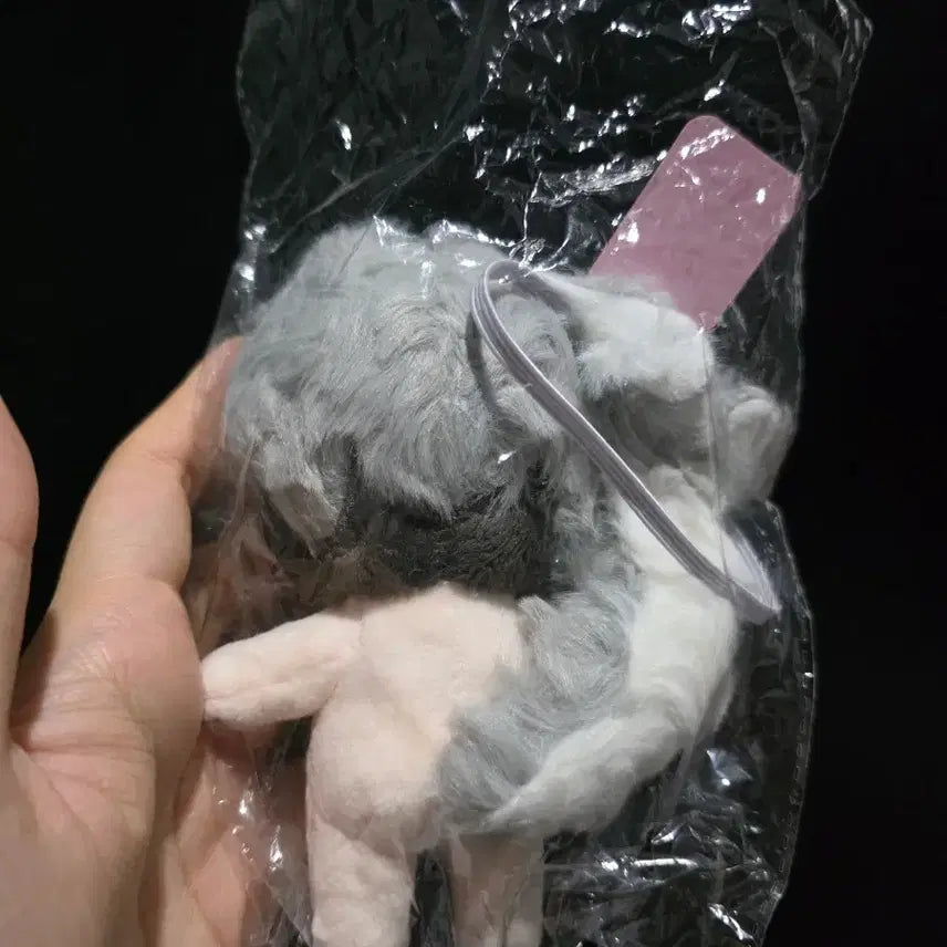 [BUNJANG] Plave Eunho Unofficial Doll Magnetic Tail &amp; Ears / 아가은호,비공식 인형 , 도은호 plave