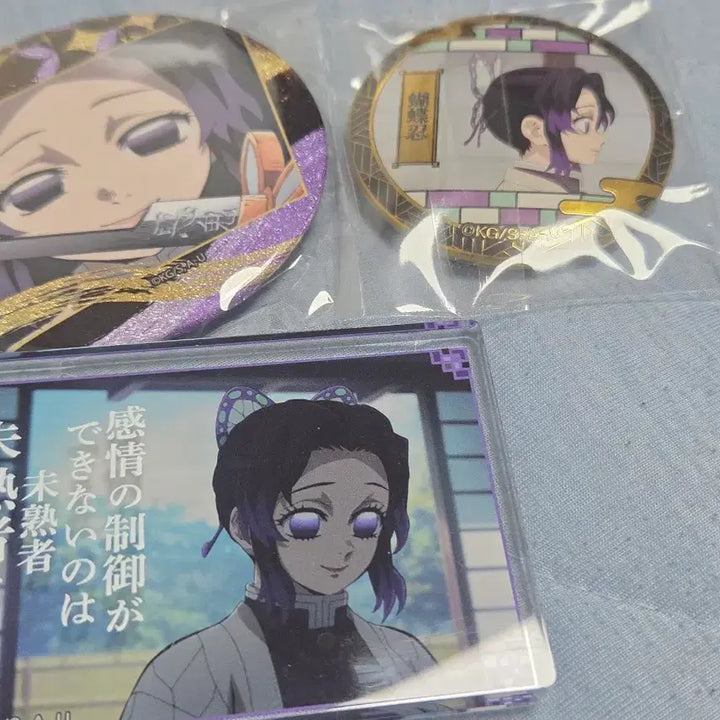 [BUNJANG] Demon Slayer Kocho Shinobu Quote Acrylic Can Badge / 귀멸 코쵸 시노부 명언 아크릴 캔뱃지