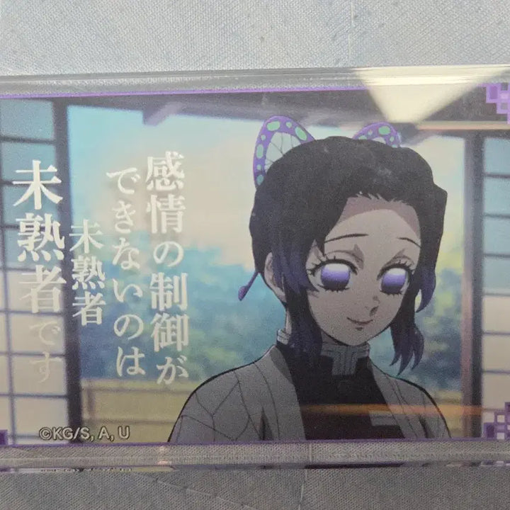 [BUNJANG] Demon Slayer Kocho Shinobu Quote Acrylic Can Badge / 귀멸 코쵸 시노부 명언 아크릴 캔뱃지