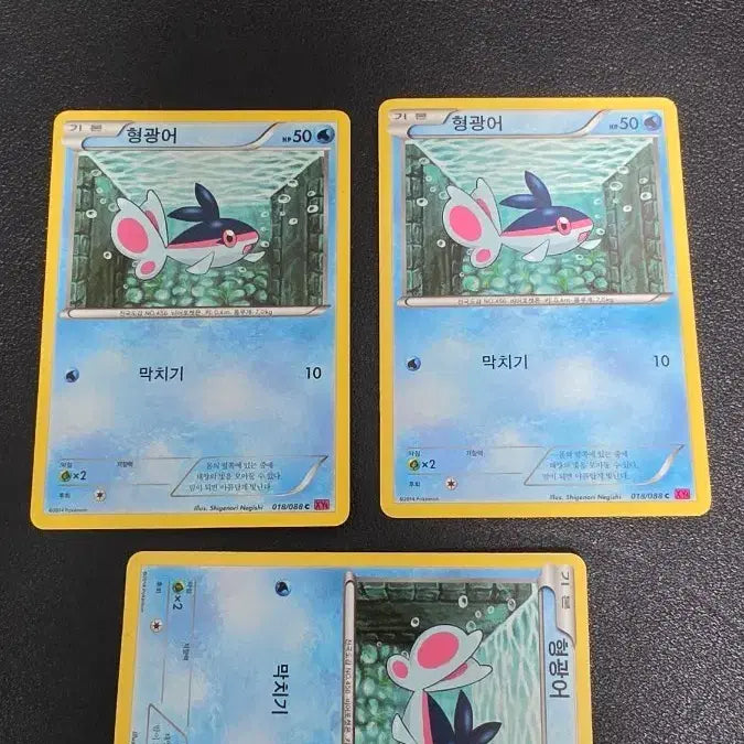 [SOLD OUT] 포켓몬 카드 형광어 xy4 018