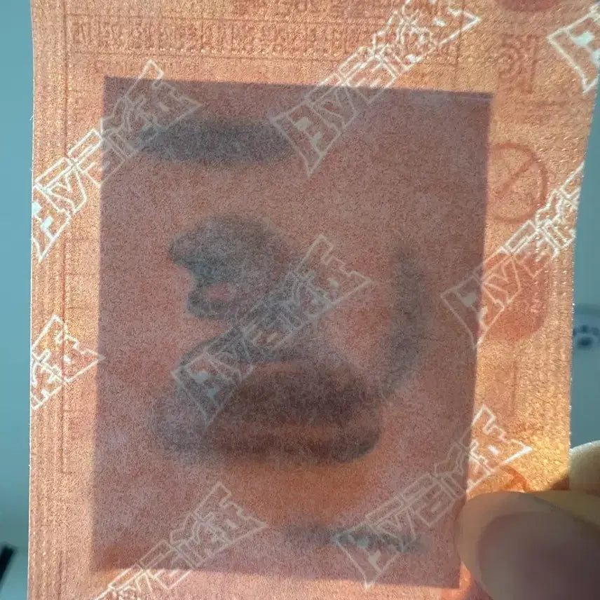 [BUNJANG] Sealed Pokemon Aboo Sticker / 미개봉 포켓몬 아보 띠부씰