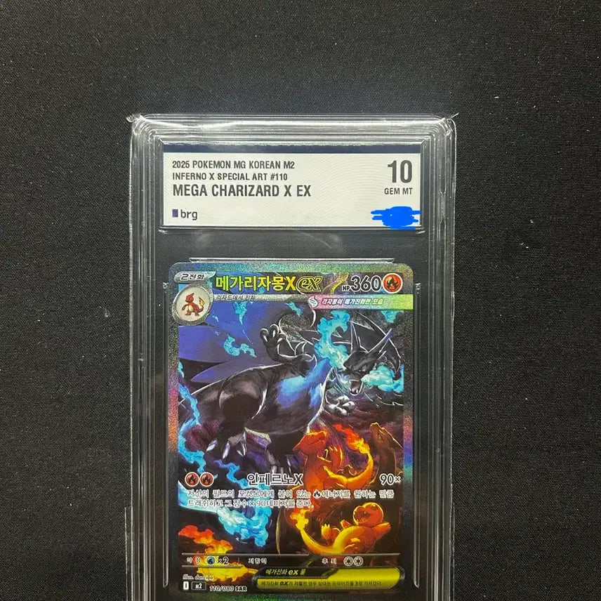 [SOLD OUT] 메가리자몽 sar brg10