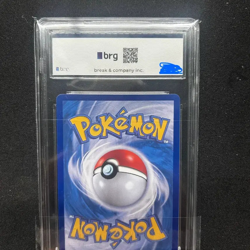 [SOLD OUT] 메가리자몽 sar brg10