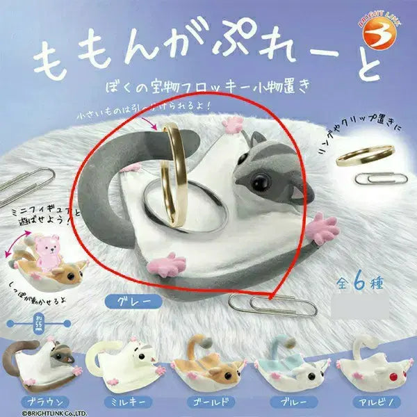 [BUNJANG] Flying Squirrel Plate Gacha / 날다람쥐 플레이트 가챠
