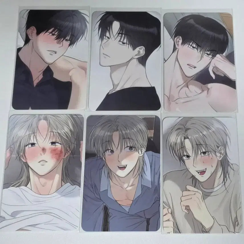 [BUNJANG] Savanna Bull Monthly Photocard Set (6 Types) / 사반불 월간포카 6종