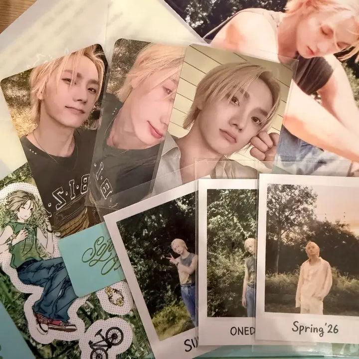 [BUNJANG] BOYNEXTDOOR Sungho Collected Photocard Album Set / 보이넥스트도어 콜렉티드북3 성호 풀셋 판매