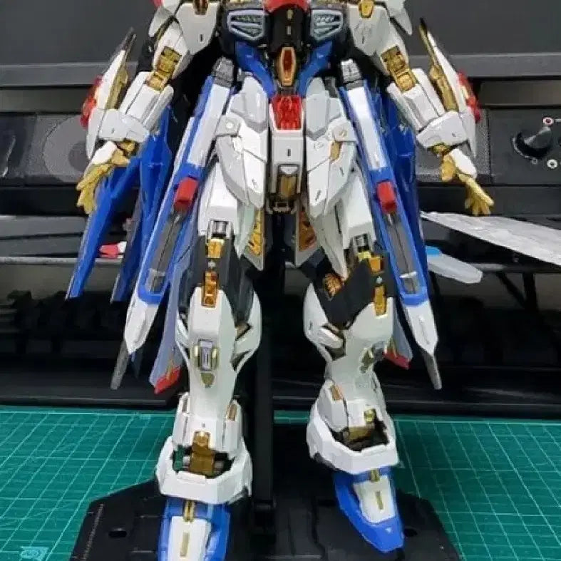[BUNJANG] MGEX Strike Freedom Gundam Bundle Set (Dragon &amp; Midnight Version) / MGEX 스트라이크 프리덤 2종 일괄