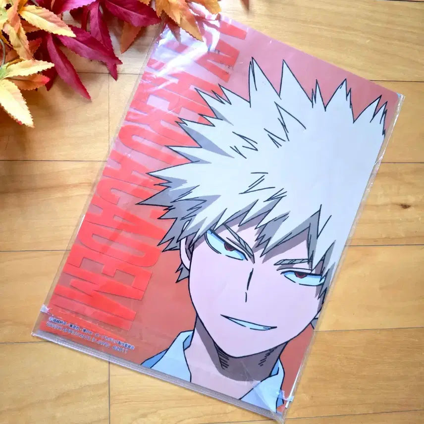 [BUNJANG] My Hero Academia Ichiban Kuji G Prize Izuku Midoriya x Katsuki Bakugo Clear File Set (2 pcs) / 나히아 제일복권 G상 미도리야 x 바쿠고 클리어파일 2매
