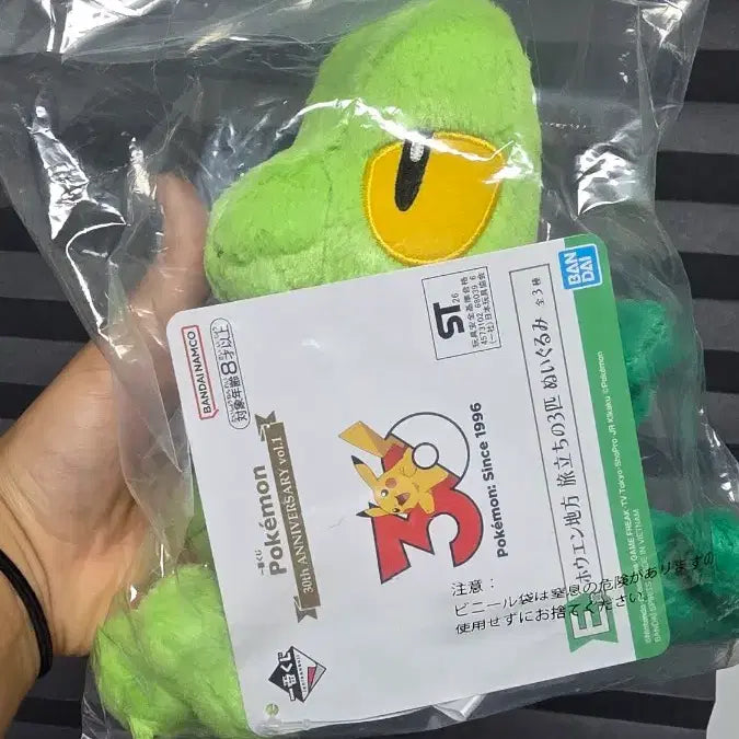 [BUNJANG] Pokemon 30th Anniversary Ichiban Kuji Prize E - Namajiki / 포켓몬스터 30주년 제일복권 E상 나무지기