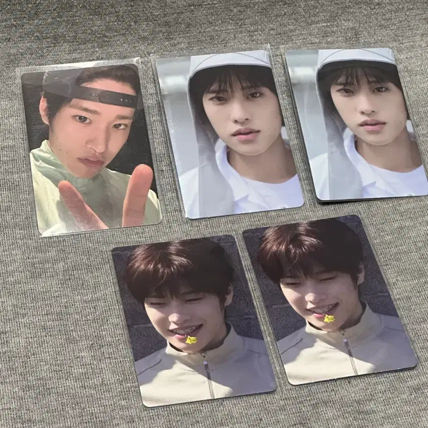 [SOLD OUT] 라이즈 팝업 아카이브 트레카 소희 일괄 포카 양도 a b 세트
