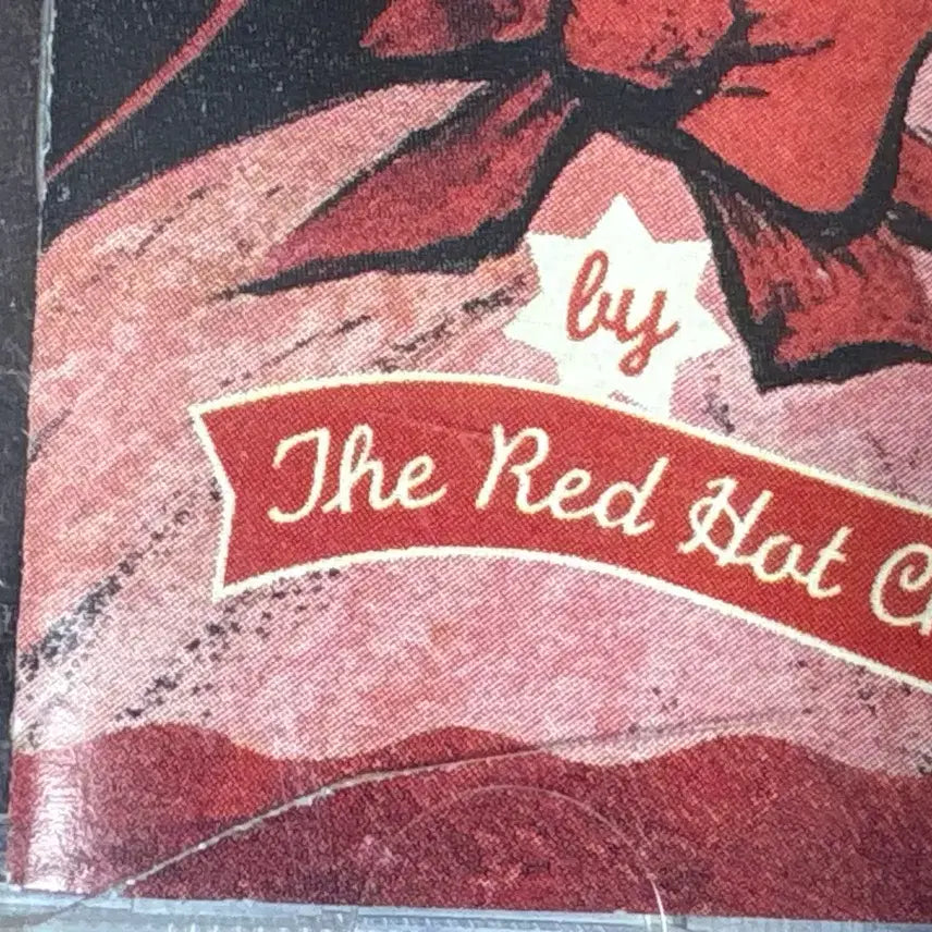 [BUNJANG] Red Hot Chili Peppers One Hot Minute CD / 레드 핫 칠리 페퍼스 - 원 핫 미닛 CD echo