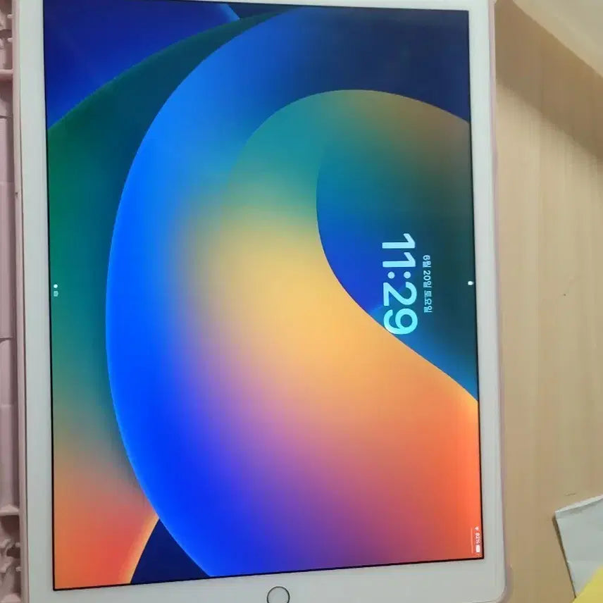 [BUNJANG] Apple iPad Pro 1st Gen 12.9" 128GB / 아이패드 프로 1세대 12.9 128gb 판매합니다.