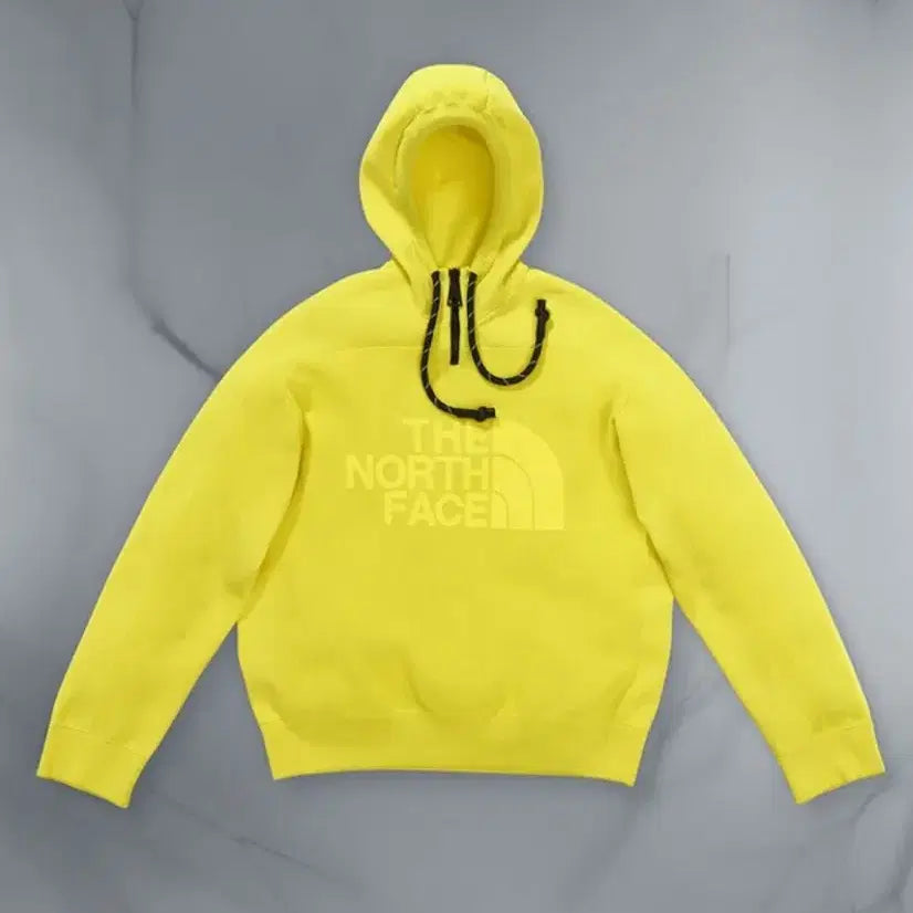 [BUNJANG] The North Face Black Series Hoodie - Size S / 노스페이스 블랙시리즈 후디 / S