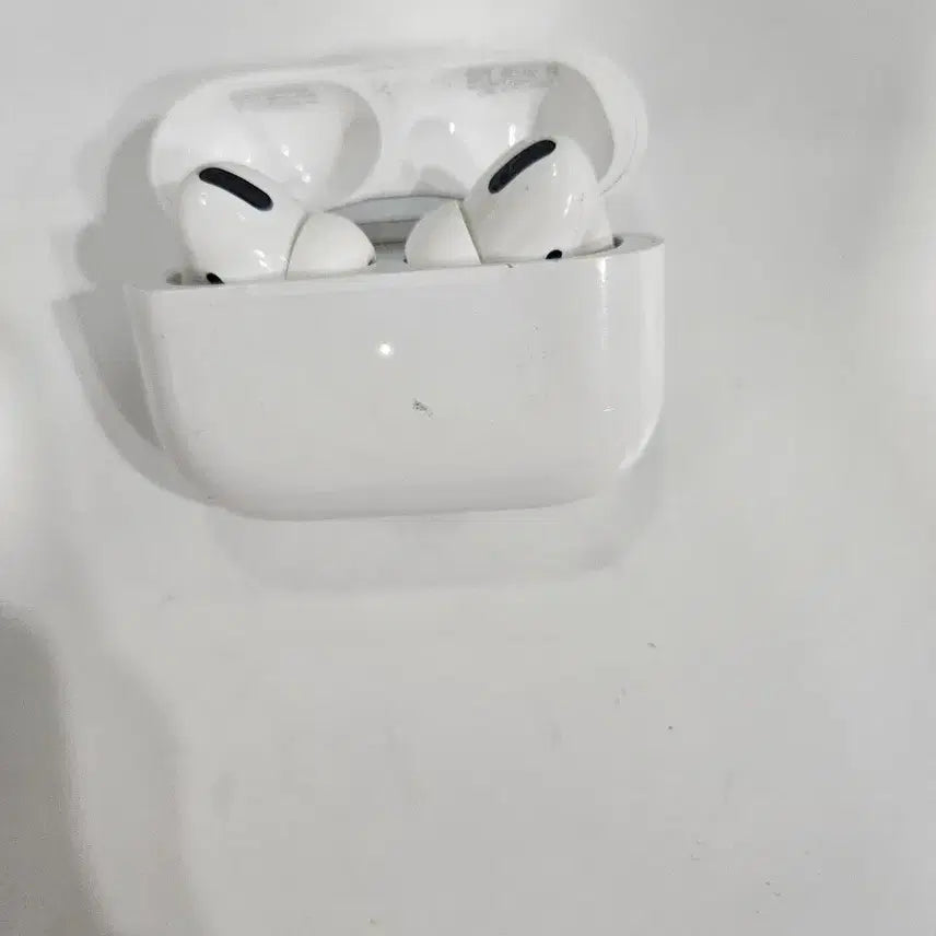 [BUNJANG] Apple AirPods Pro 2nd Generation Earbuds / 에어팟 프로2
