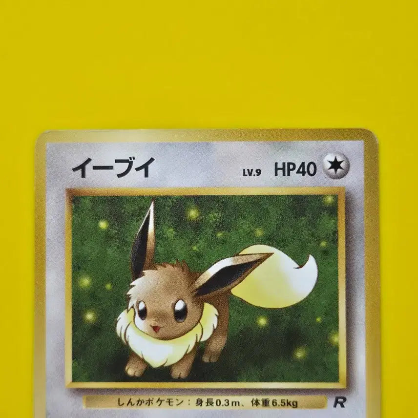 [BUNJANG] Pokemon Card Eevee Rocket&