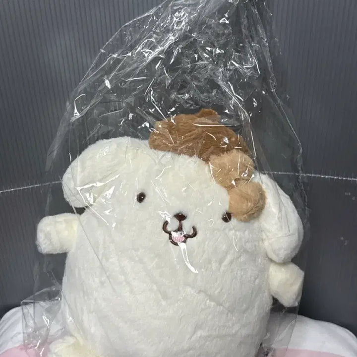 [BUNJANG] Pompompurin Brown Plush Toy / 폼폼푸린 브라운 인형 발이 포인트 !