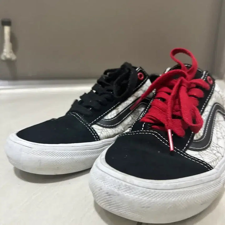 [BUNJANG] Vans Old Skool Spider / 반스 올드스쿨 스파이더