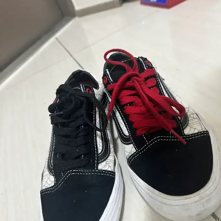 [BUNJANG] Vans Old Skool Spider / 반스 올드스쿨 스파이더