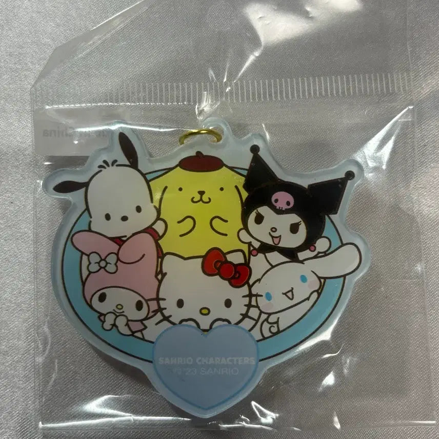 [BUNJANG] Sanrio Characters Acrylic Keyring - Hello Kitty, Cinnamoroll / 산리오 캐릭터즈 아크릴 키링 헬로키티 시나모롤