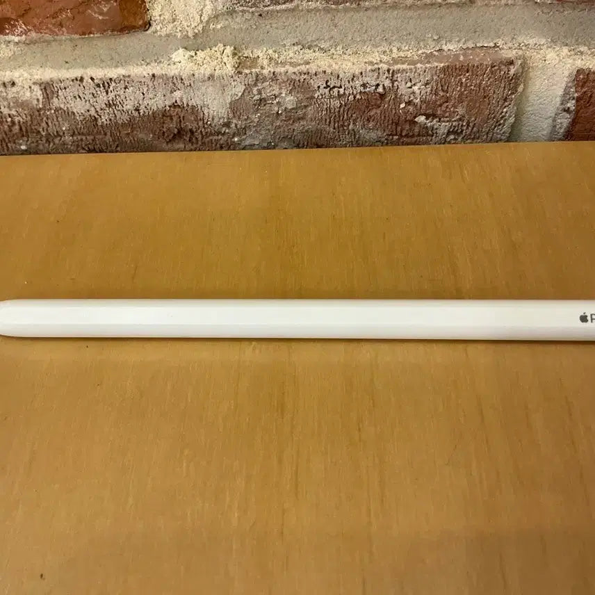 [BUNJANG] Apple Pencil Pro / 애플 펜슬 프로 새상품급