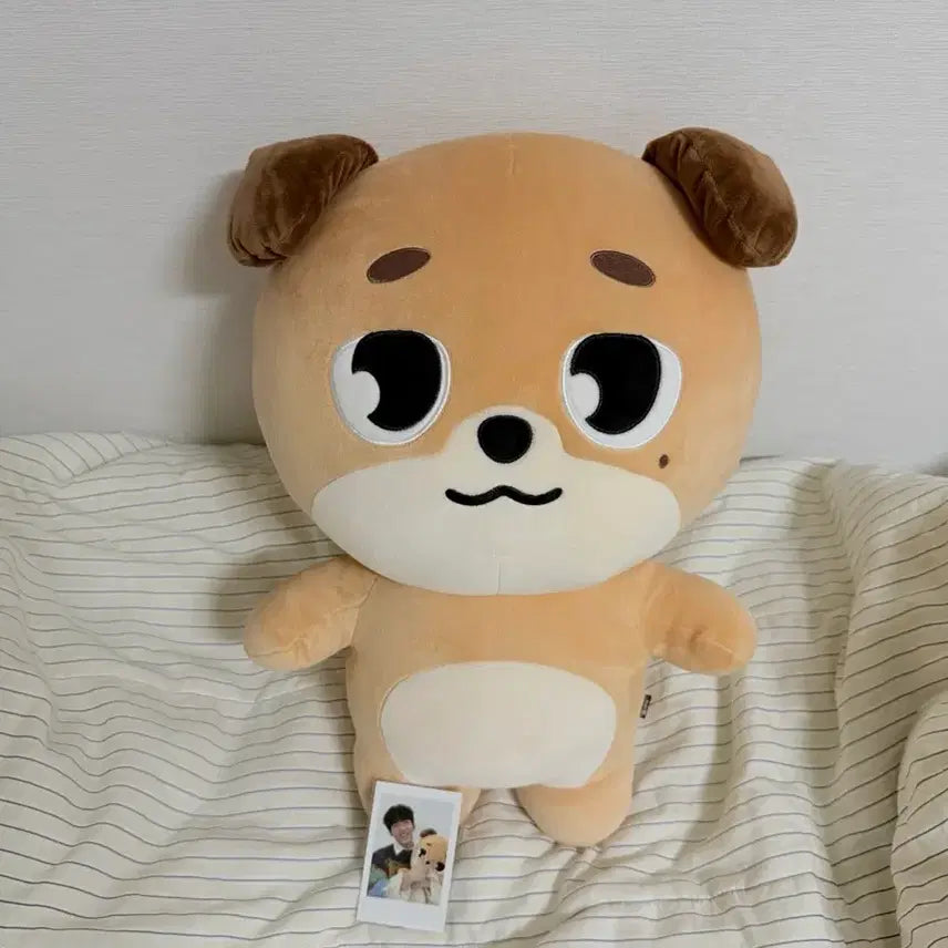 [BUNJANG] Giant Denimals Don Plush / 자이언트 데니멀즈 돈