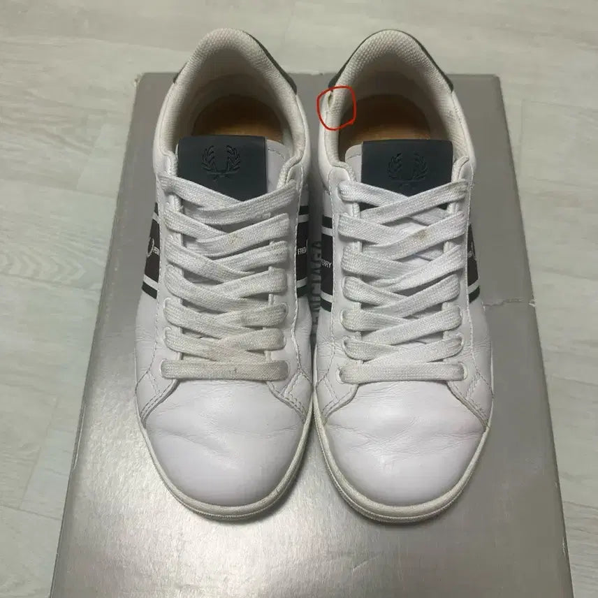 [BUNJANG] Fred Perry Sneakers Size 260 / 프레드페리 운동화 260사이즈