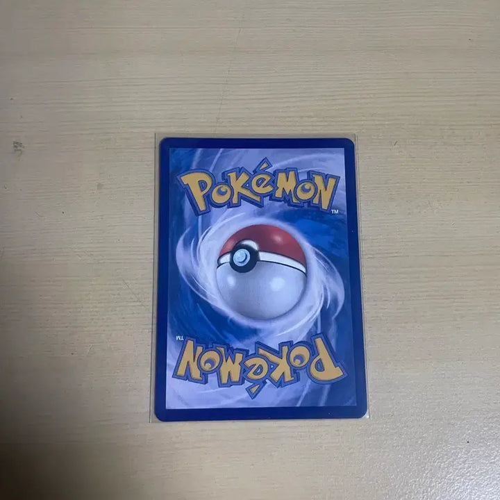 [BUNJANG] Pokemon Card Precious Carry / 포켓몬카드 프레셔스캐리