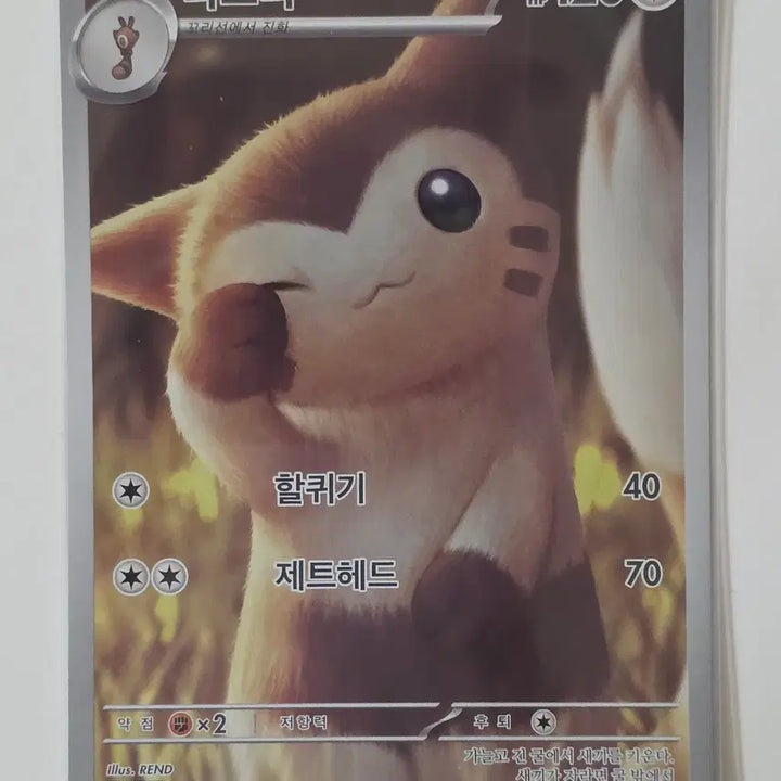 [SOLD OUT] 포켓몬 카드 다꼬리 ar 110/100