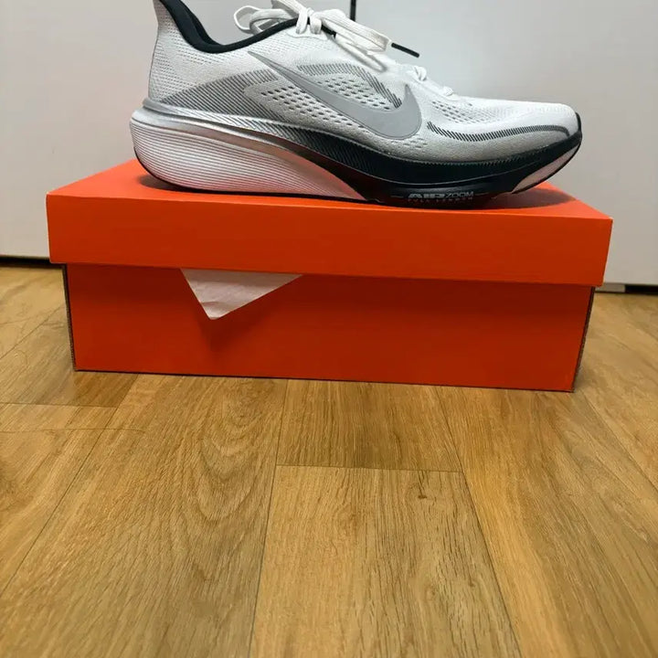 [BUNJANG] Nike Pegasus 42 Running Shoes / 나이키 페가수스42 275