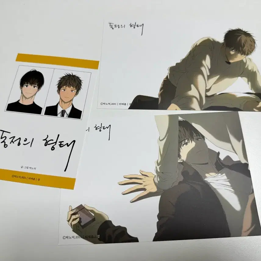 [BUNJANG] The Shape of Virginity Bundle Set / 동정의 형태 동형 특전 일괄 양도