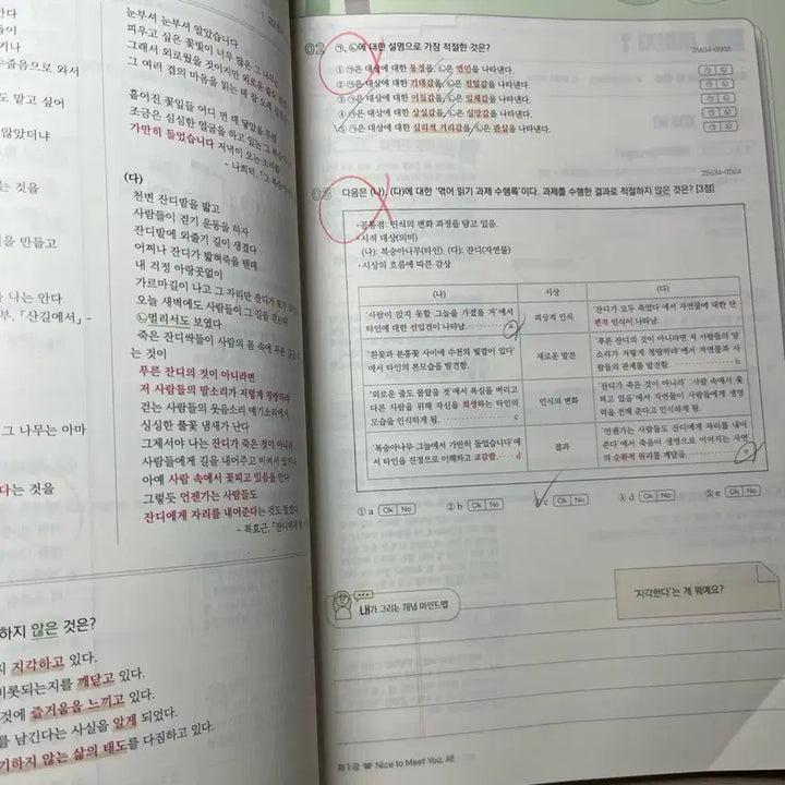 [BUNJANG] Yoon Hye-jung Concept NabihyoGwa Volume 1: Introduction to Literature Workbook / 윤혜정 개념의 나비효과 1권 문학 입문편 워크북
