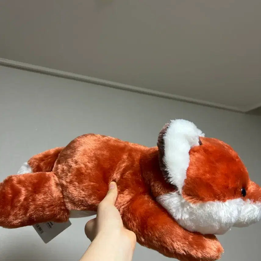 [BUNJANG] Authentic Japanese Fox Plush / 일본정품 여우 인형 새상품