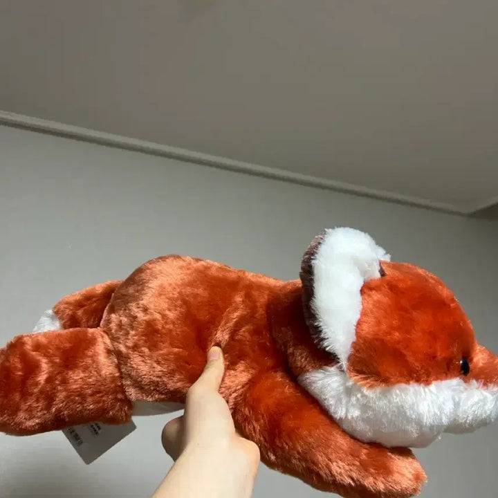 [BUNJANG] Authentic Japanese Fox Plush / 일본정품 여우 인형 새상품