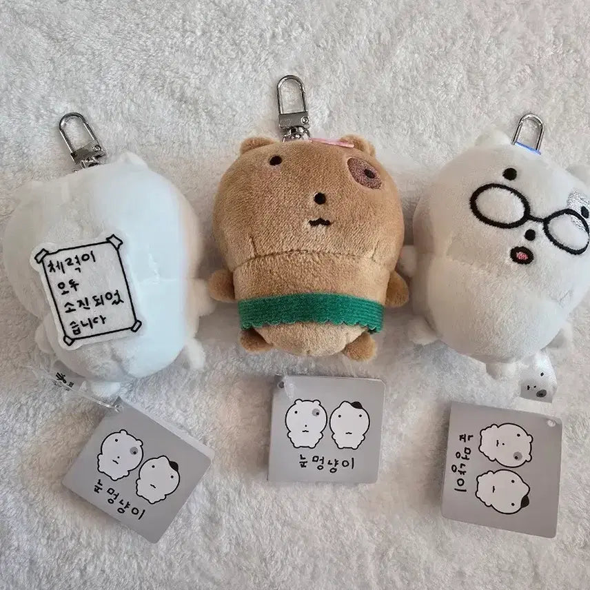 [BUNJANG] Nunchi Cat Charm Set / 눈멍냥이 키링 3종 세트