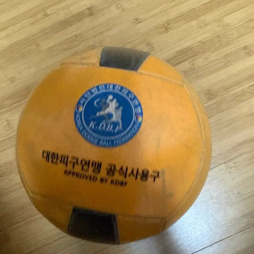 [BUNJANG] Official Middle School Dodgeball / 피구공 공인구 중학생