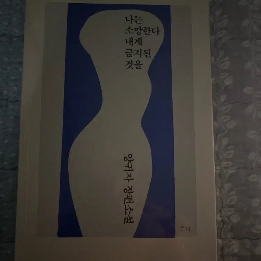 [BUNJANG] I Wish for the Forbidden Things Novel / 나는 소망한다 내게 금지된 것을 책