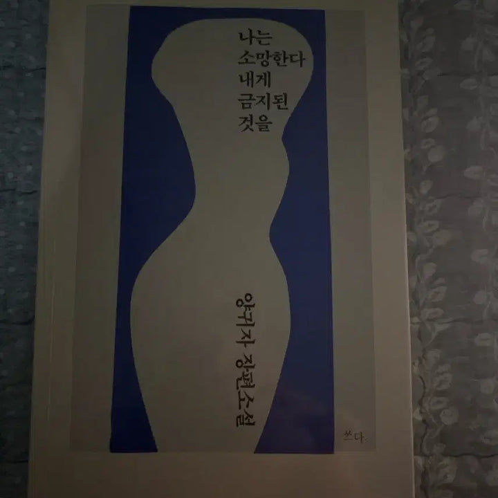 [BUNJANG] I Wish for the Forbidden Things Novel / 나는 소망한다 내게 금지된 것을 책